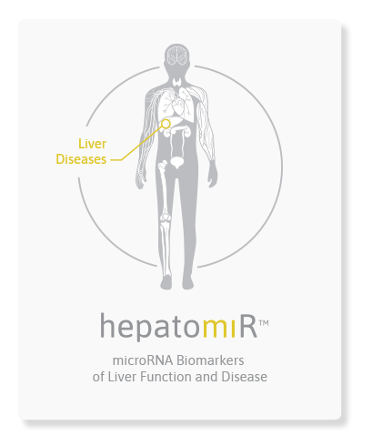 hepatomiR analytical services