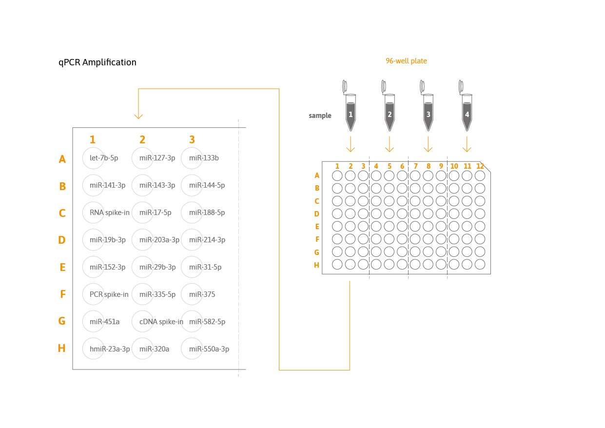 TAmiRNA_osteomiR_qPCR_96_well_plate