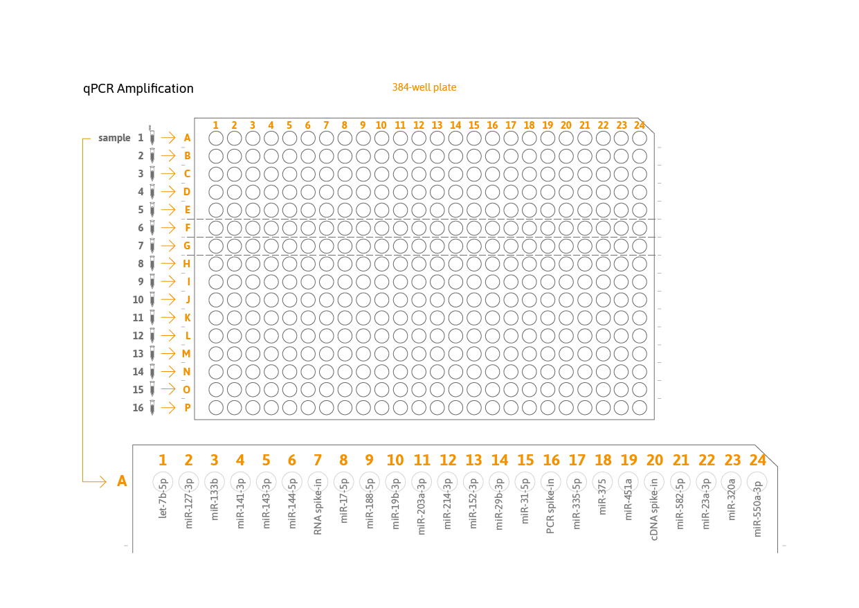 TAmiRNA_osteomiR_qPCR_364_well_plate