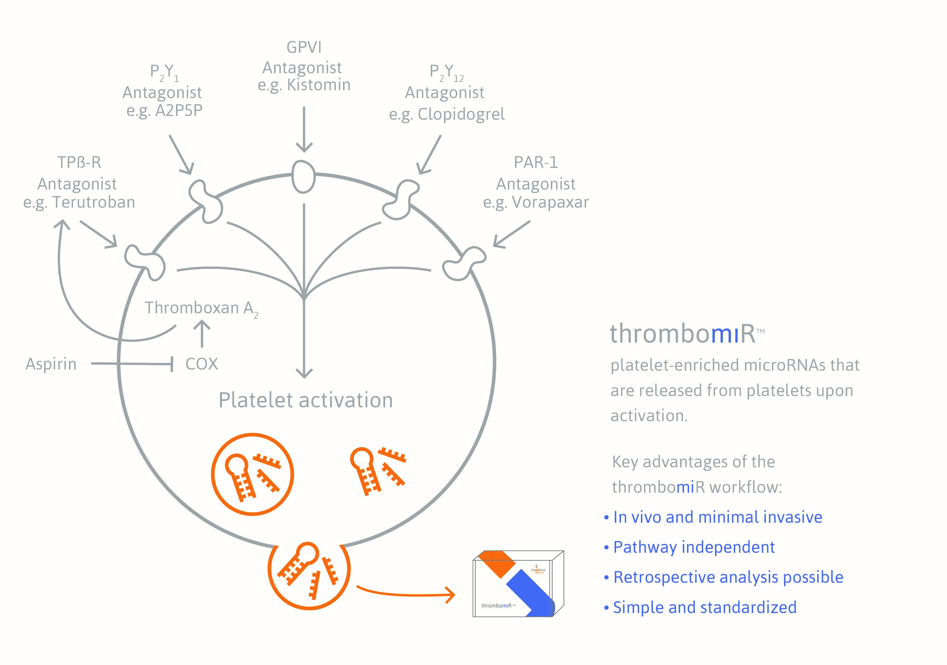 thrombomiR_mode_of_action