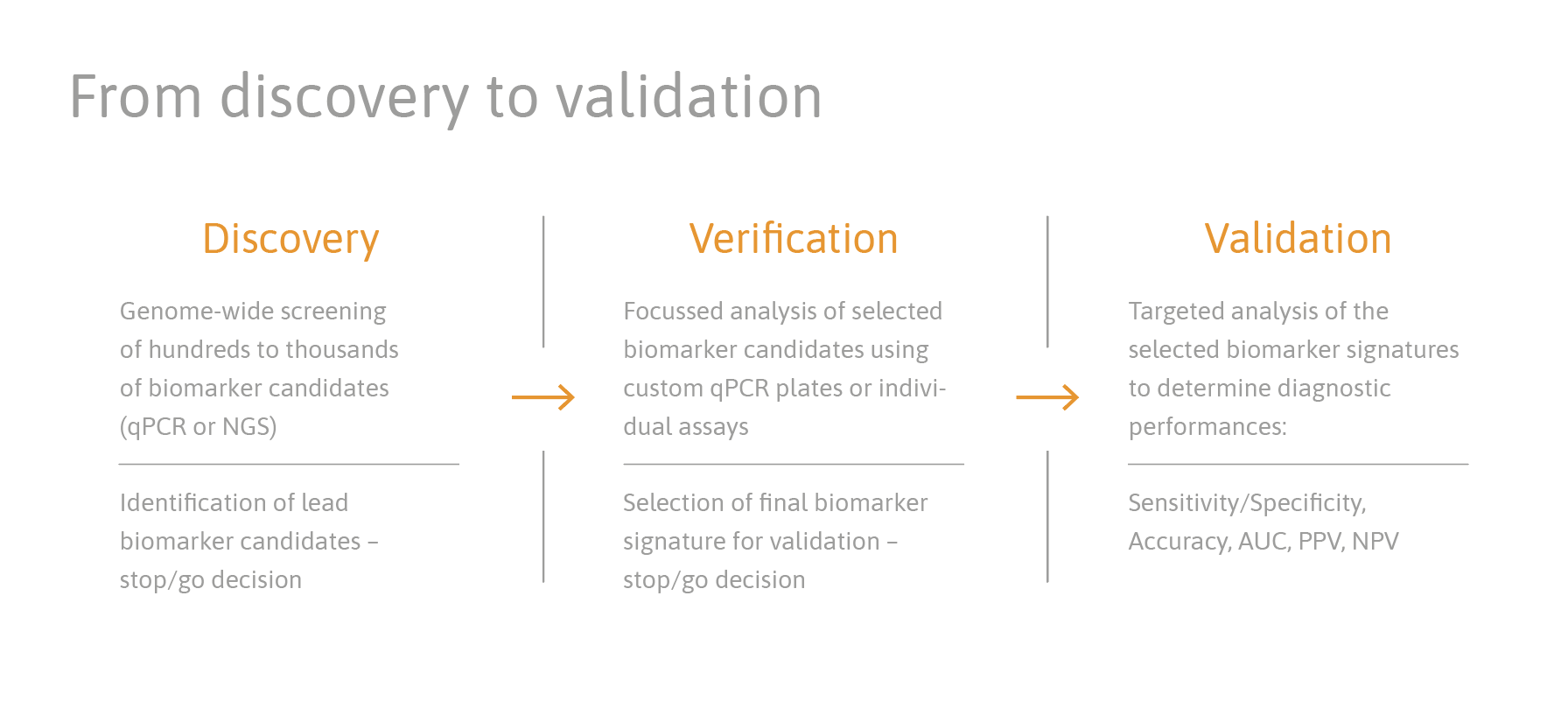 TAmiRNA_service _discovery_validation