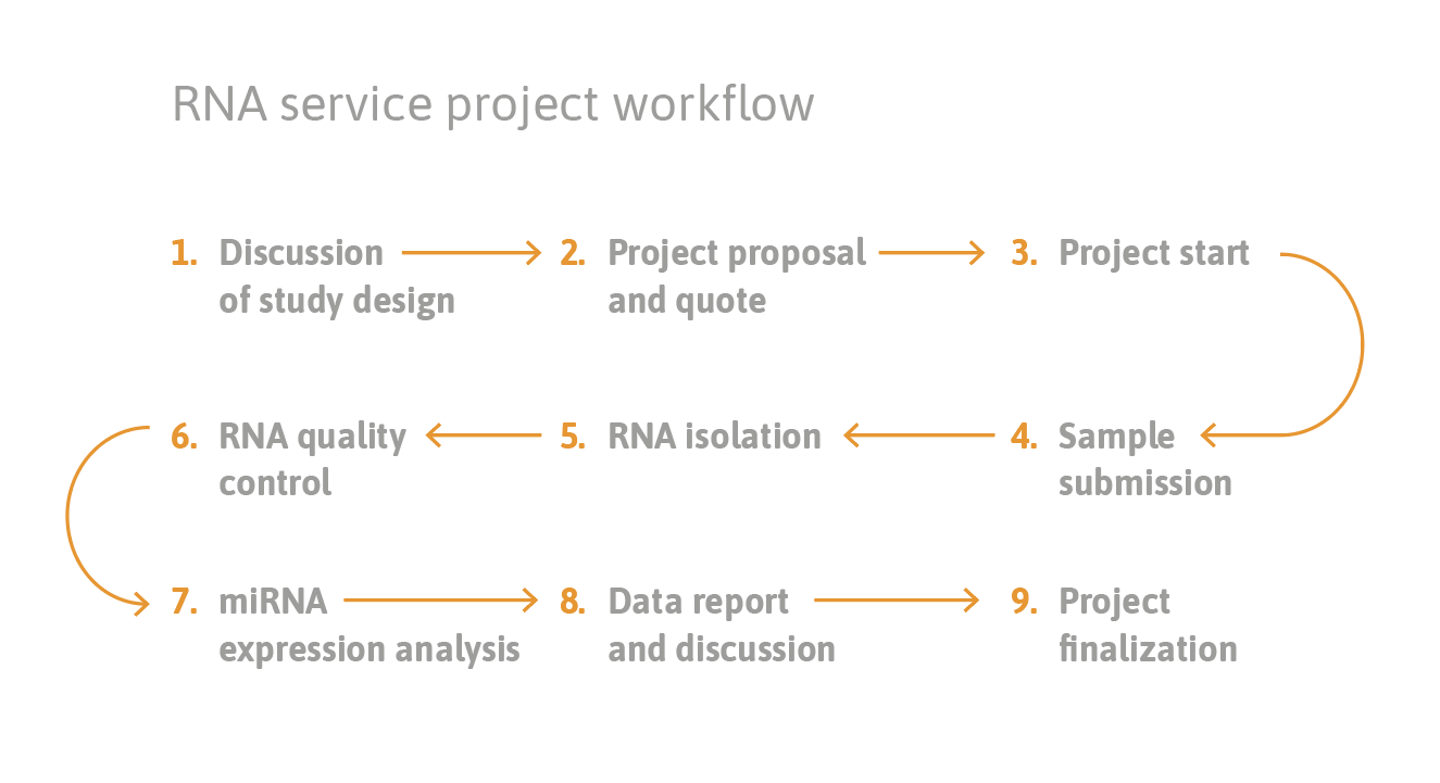 TAmiRNA_microRNA_NGS_&_qPCR_service _workflow