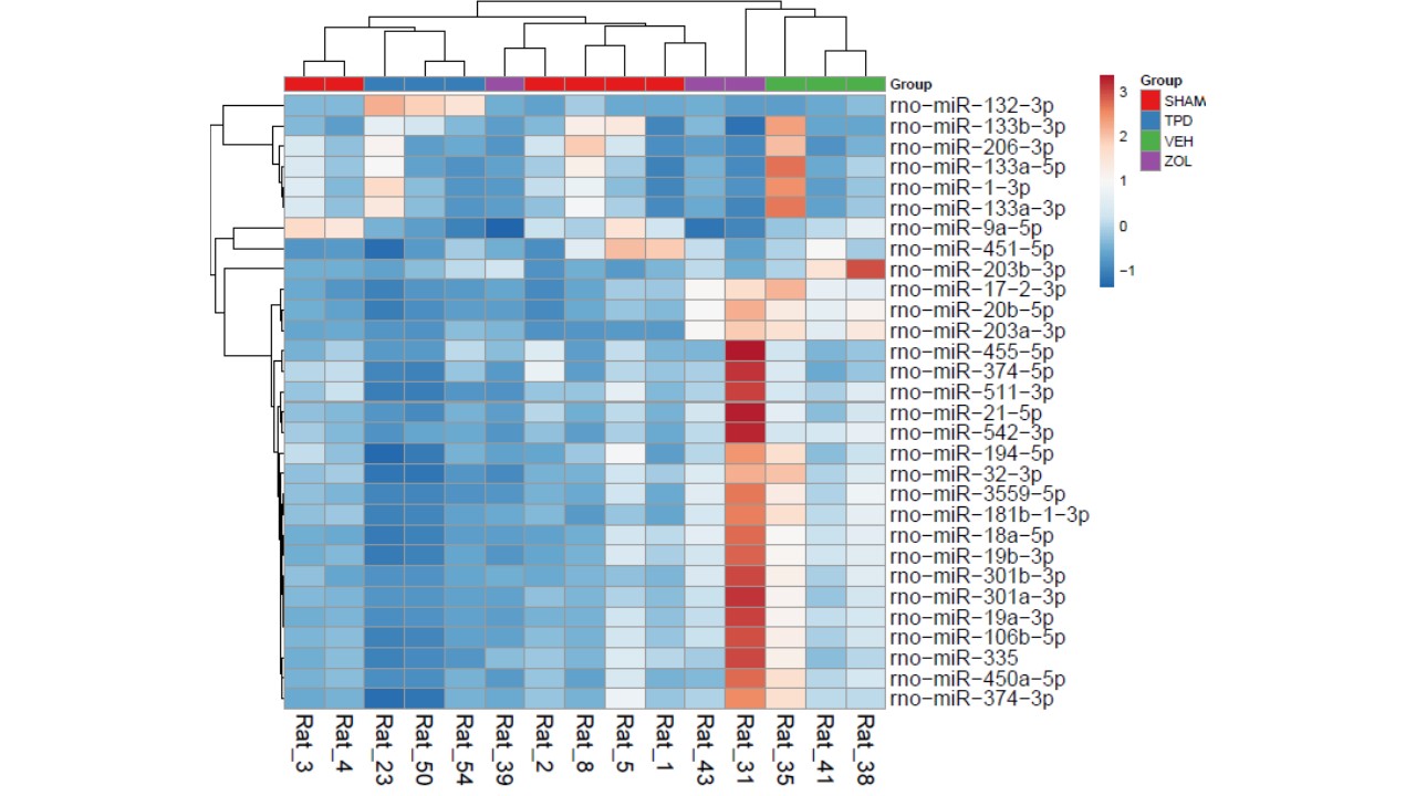 microRNA_levels_in_bone_and_blood