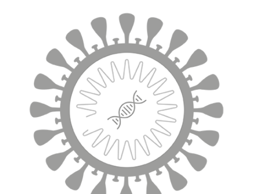 TAmiRNA bietet validierte Coronavirus Antikörpertests und SARS-CoV-2 PCR-Analysen an