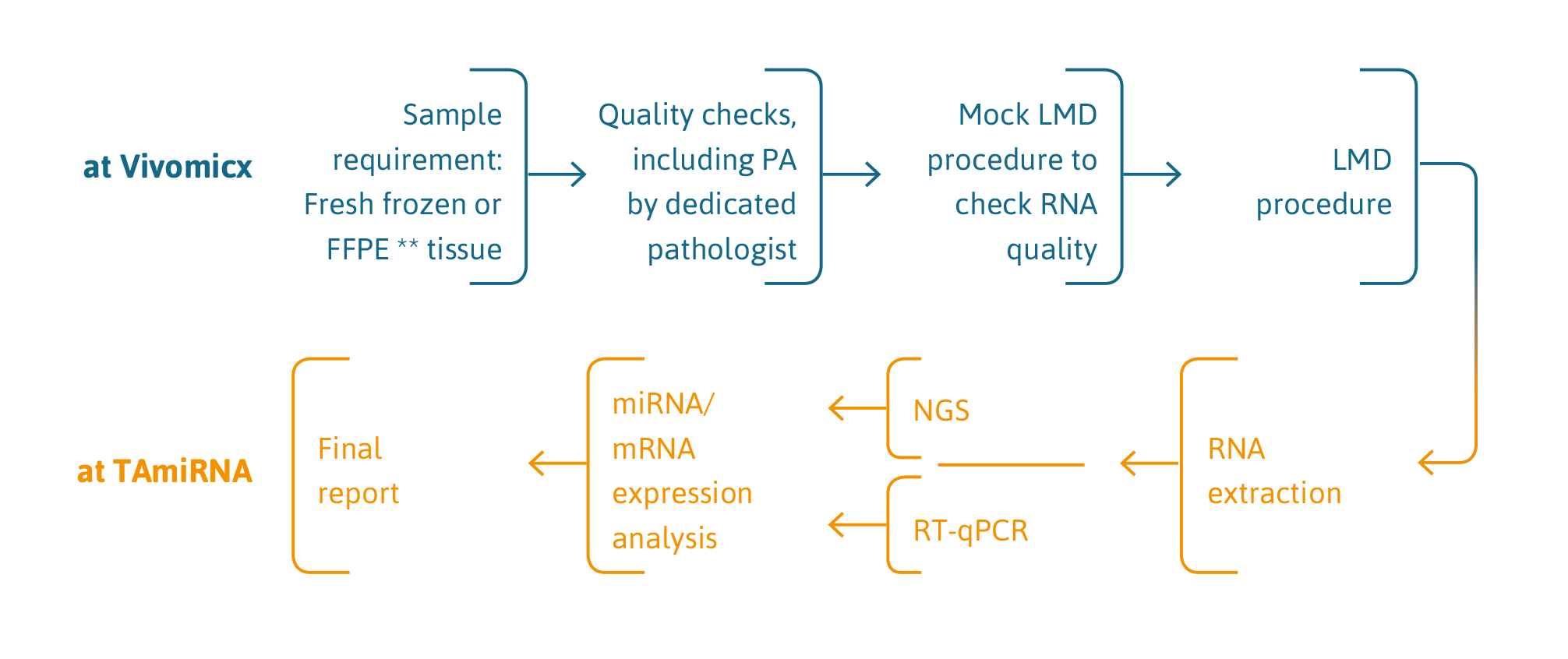 TamiRNA_LMD_Workflow