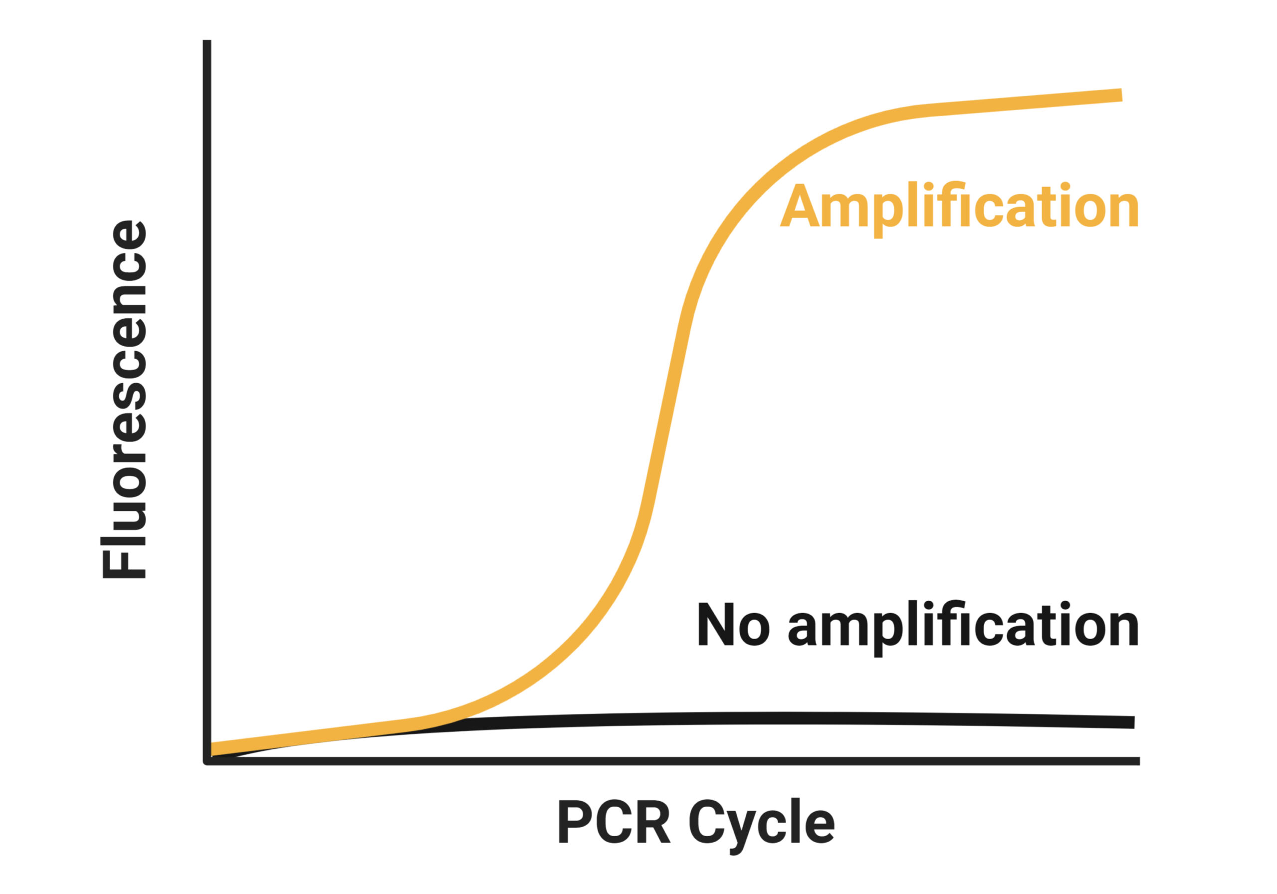 RT-qPCR services