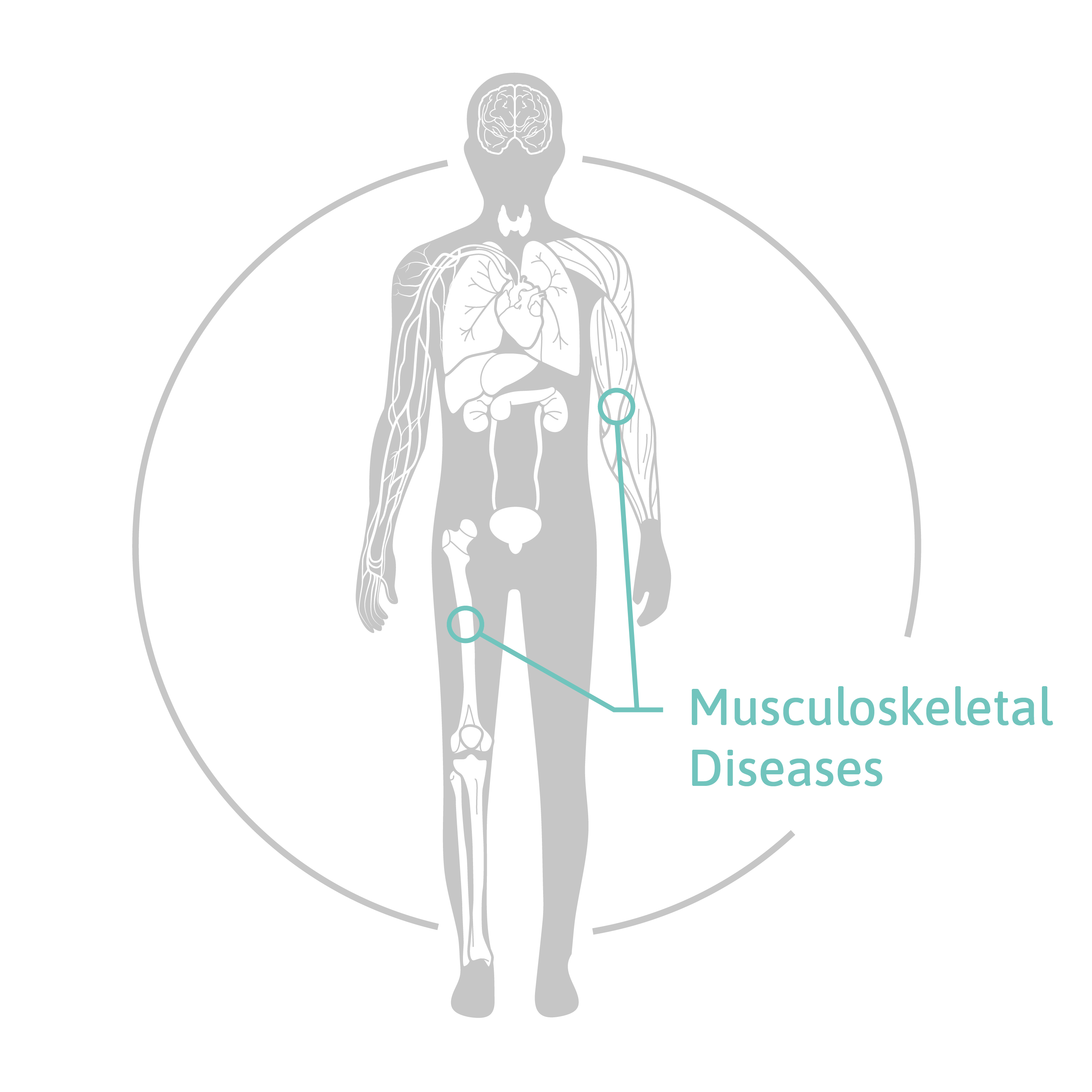 microRNA Biomarkers of Bone Quality