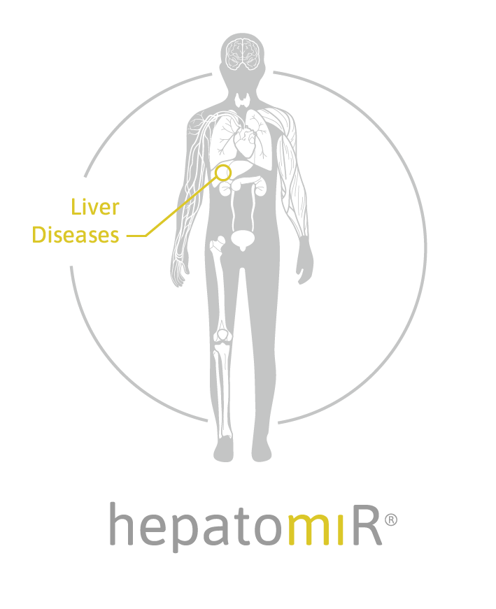 hepatomiR analytical services