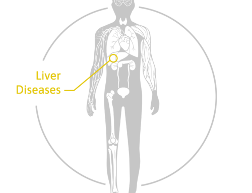 hepatomiR kit