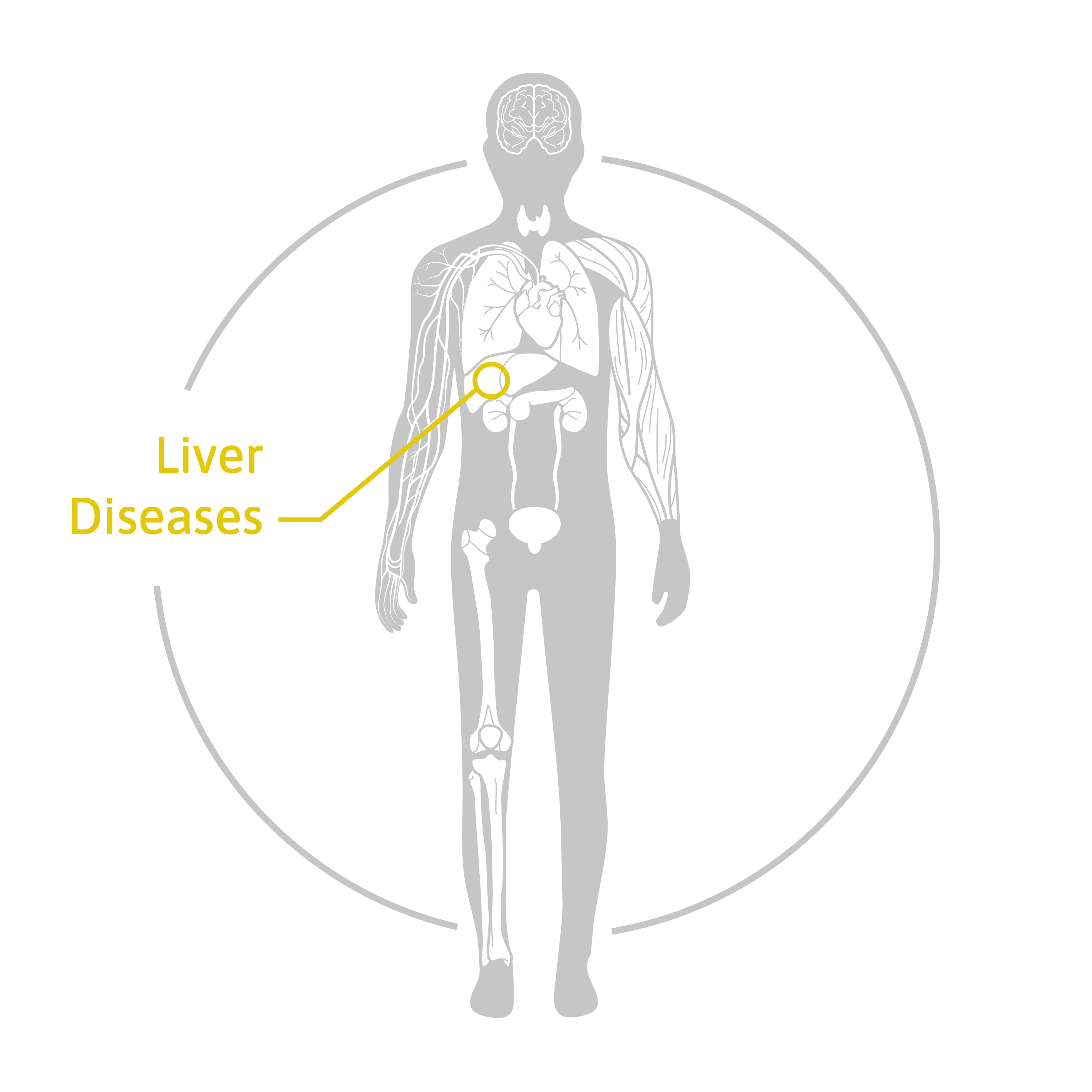 hepatomiR® kit (CE-IVD) 