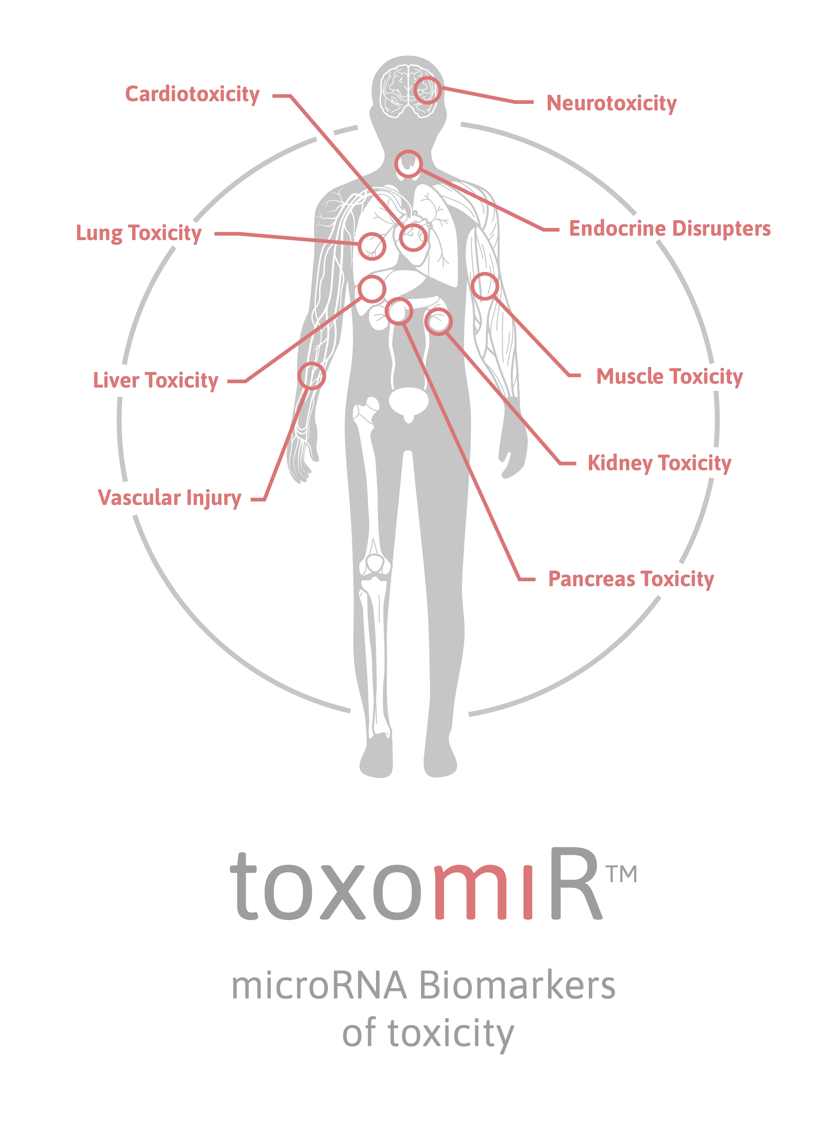 toxomiR® services