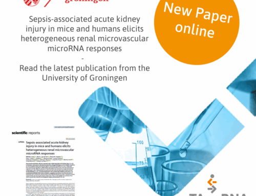 Microvascular microRNA Signatures in Sepsis: A High-Resolution View