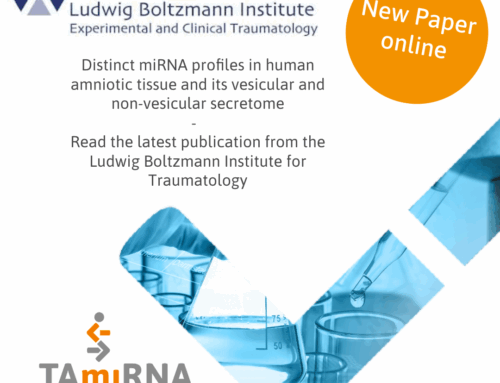 Distinct microRNA profiles in human amniotic membrane its vesicular and non-vesicular secretome revealed