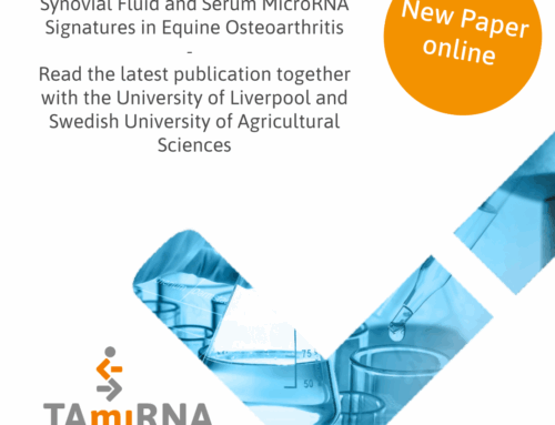 Synovial Fluid and Serum microRNA Signatures in Equine Osteoarthritis