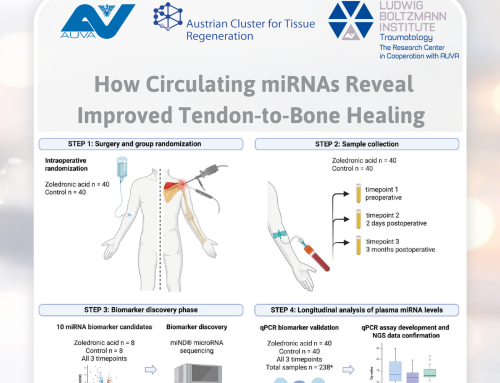 Circulating microRNAs Reveal Molecular Effect of Zoledronic Acid on Tendon-to-Bone Healing
